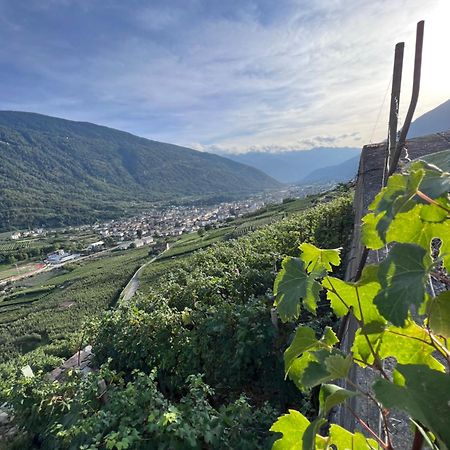 Sanmartino Suite Tirano Ngoại thất bức ảnh