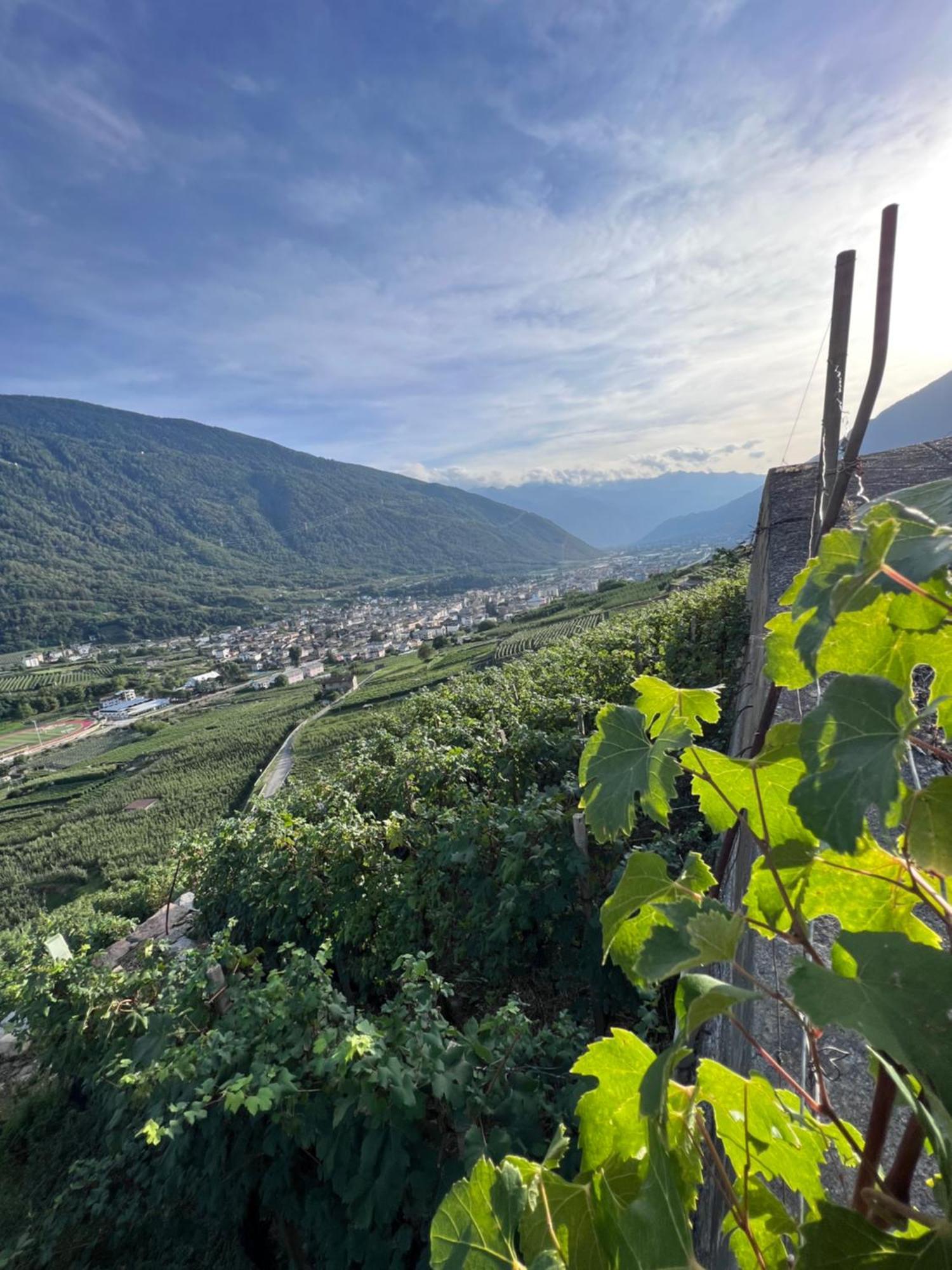 Sanmartino Suite Tirano Ngoại thất bức ảnh
